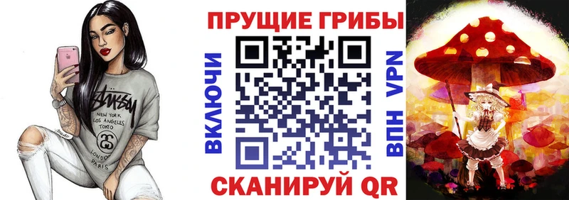 Псилоцибиновые грибы прущие грибы  Элиста 